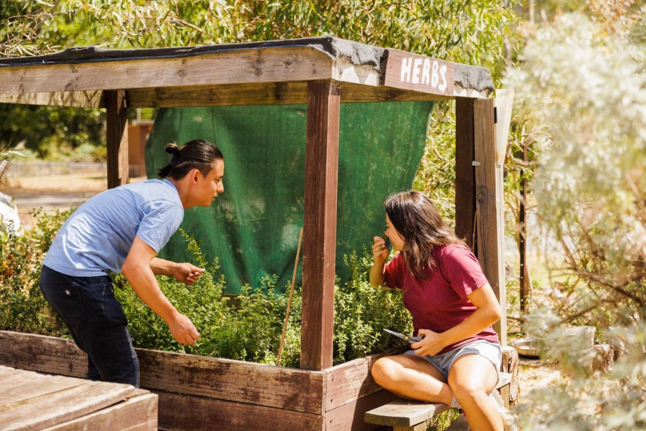 Yha Grampians Eco, Halls Gap Dış mekan fotoğraf