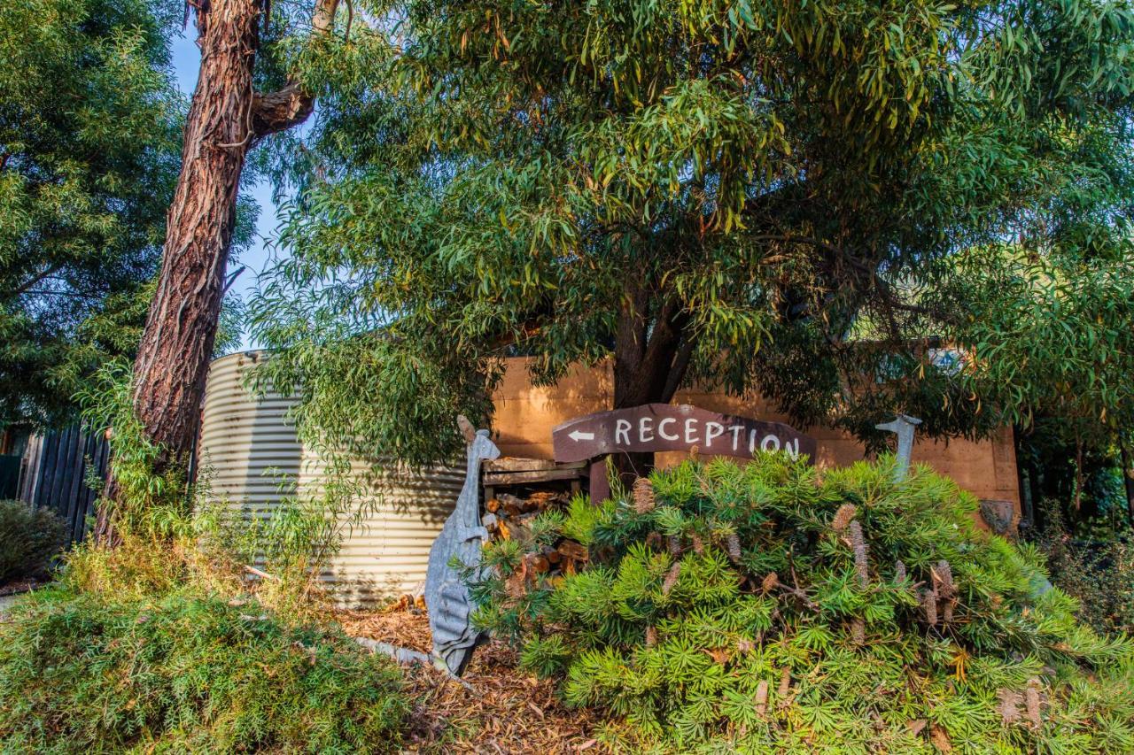 Yha Grampians Eco, Halls Gap Dış mekan fotoğraf