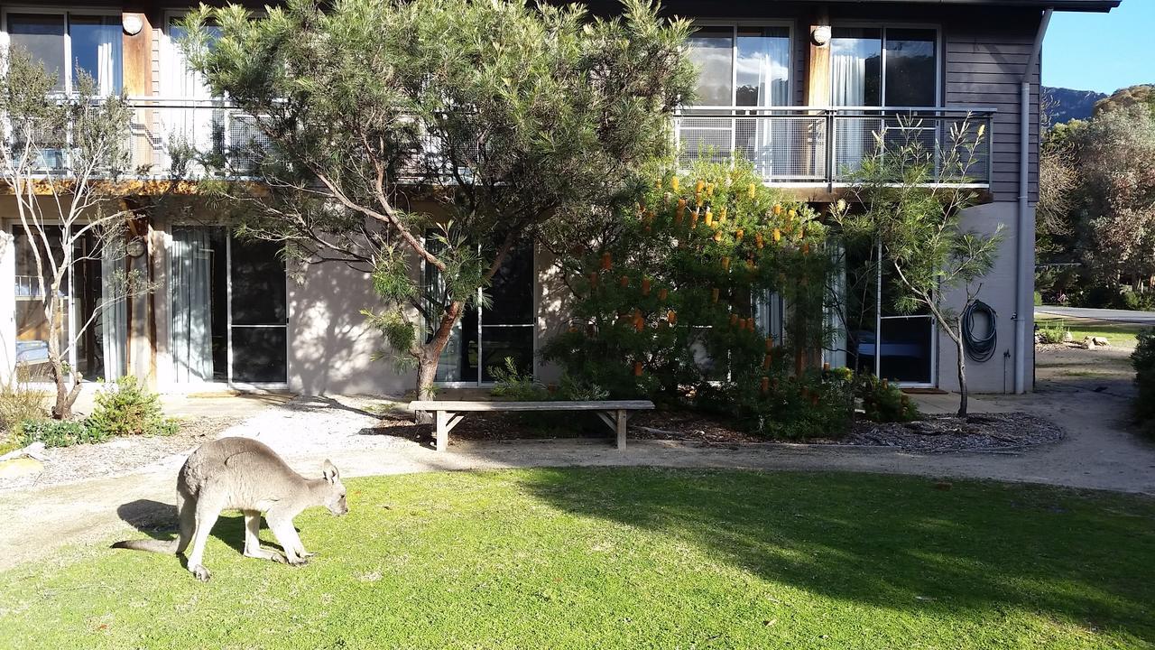 Yha Grampians Eco, Halls Gap Dış mekan fotoğraf